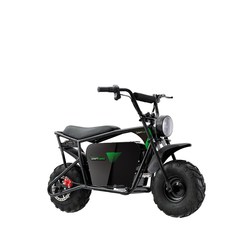 1000W Youth Mini Bike