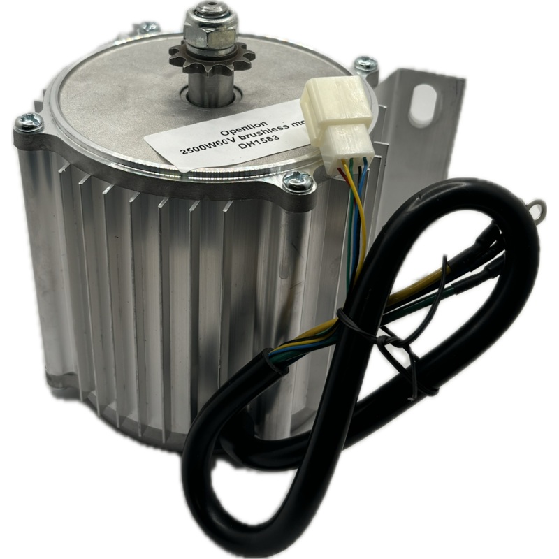 2500W 60V brushless motor - EV Dirt Bike (2500W)