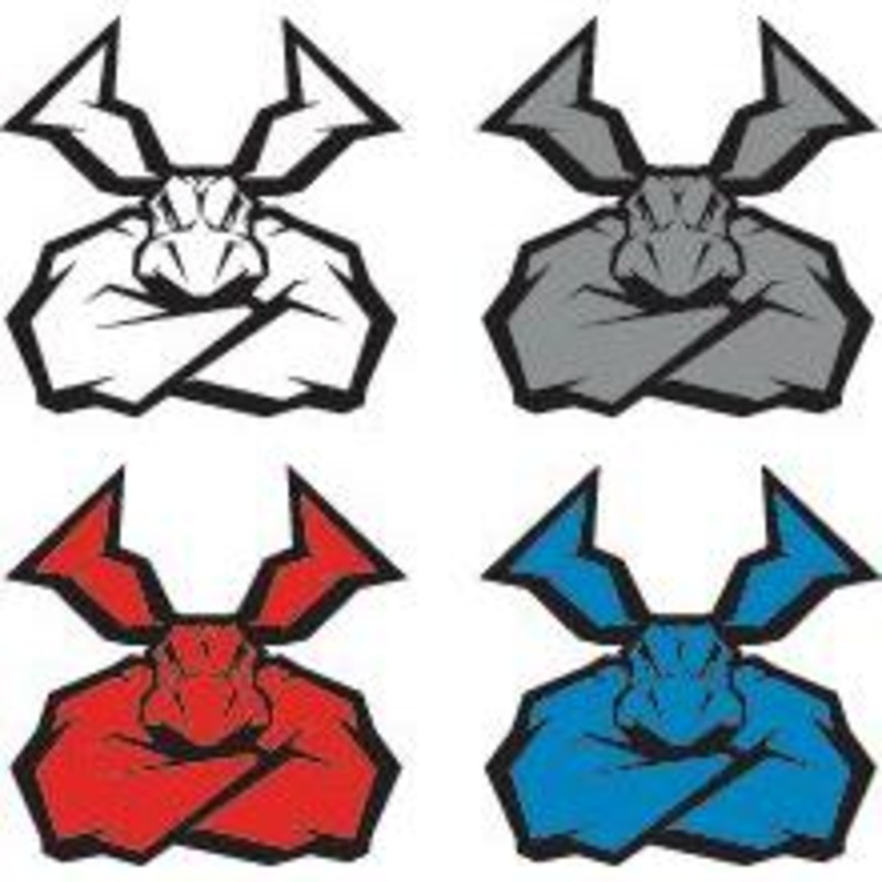 Moose Racing Agroid 4-Pack Decal Blue / Grey / Red / White