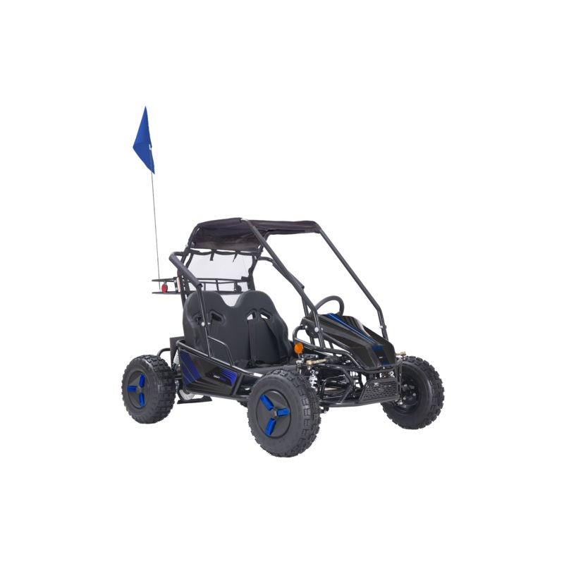 Color Variations (Blue, Orange, Pink, Yellow, Red, or Green) - Stickers, Flag, Wheel Covers - 2 Seat Go Kart (EV or Gas)