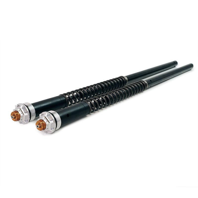 Andreani R9T Series Fork Cartridges Roadster