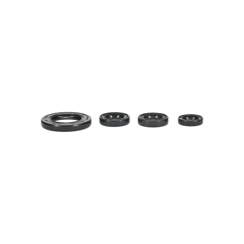 Engine Oil Seal Kit (822395)