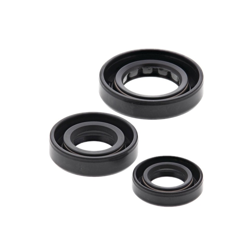 Engine Oil Seal Kit (822180)