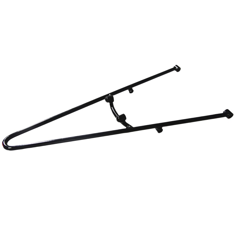 Custom Sissy Bar